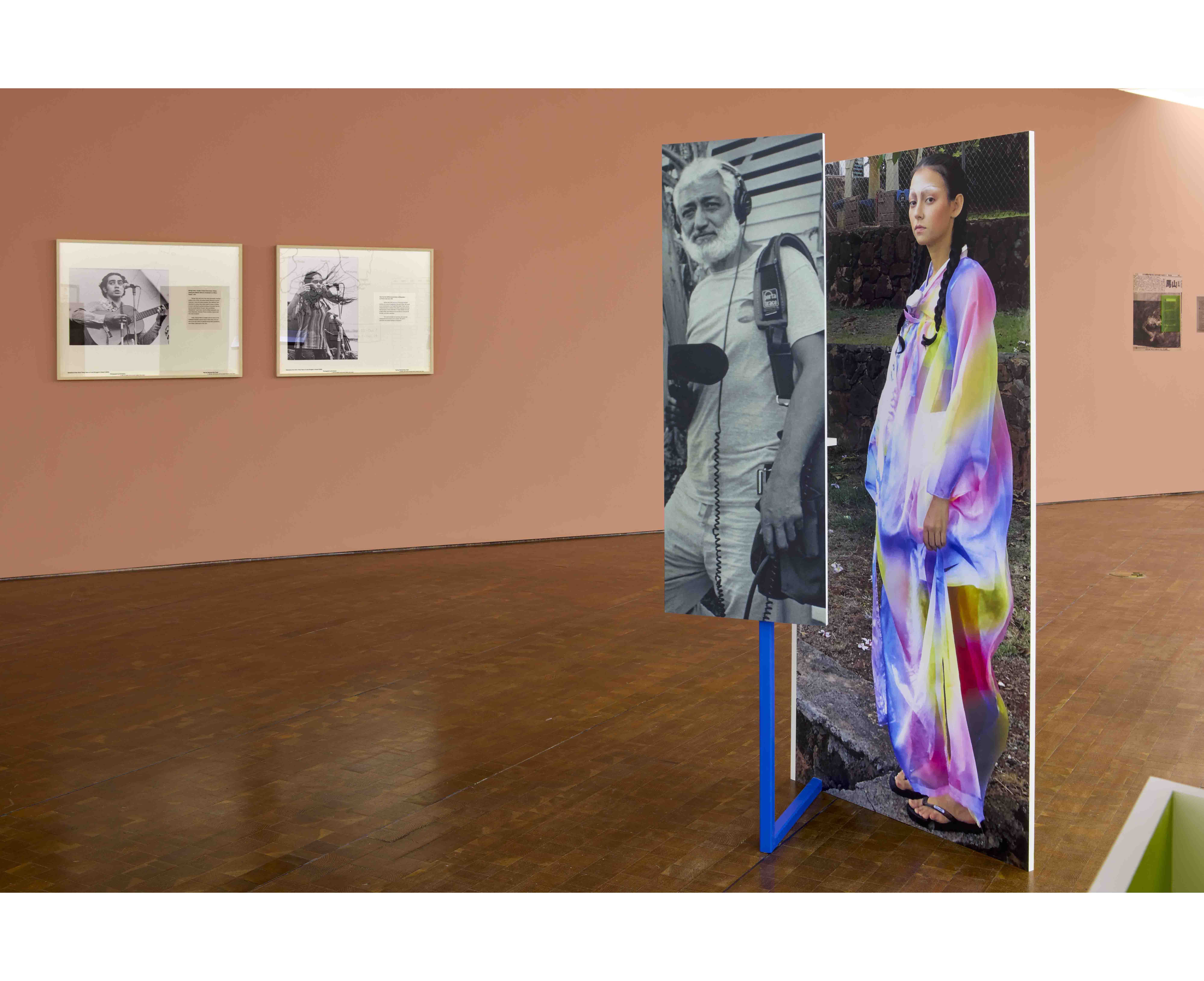 Figure Complex 5: Nā Maka o ka ‘Āina and Ho‘omau Nā Maka o ka ‘Āina